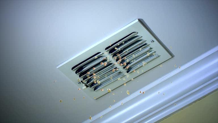 Best Affordable Air Duct Cleaning  in Ripley, MS