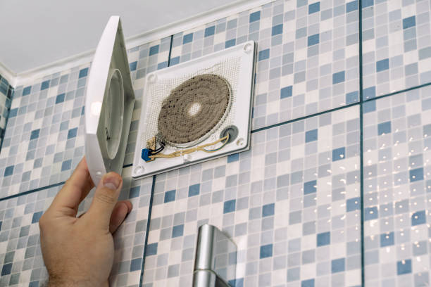 Best Air Duct Inspection  in Ripley, MS