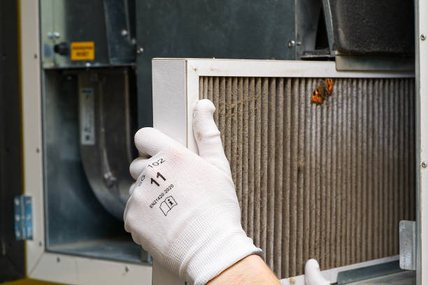 Best Affordable HVAC Duct Cleaning  in Ripley, MS