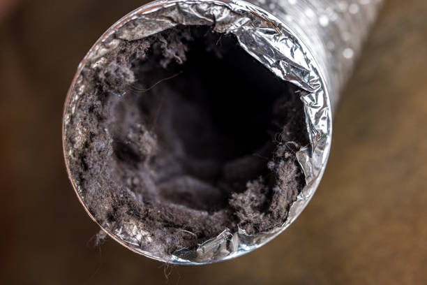 Best Commercial HVAC Duct Cleaning  in Ripley, MS